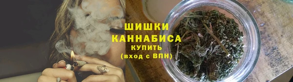 амф Верея