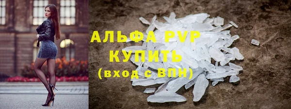 амф Верея