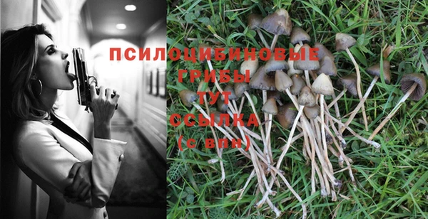 амф Верея